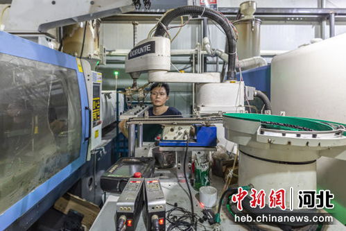 河北白沟今年上半年箱包业收入73.76亿元