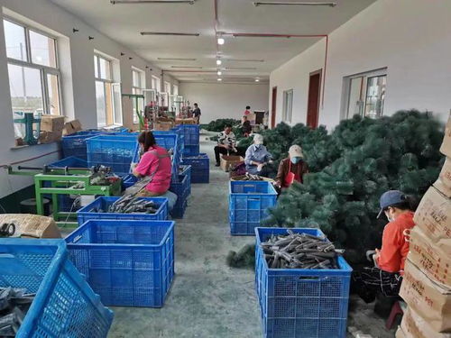 公司化发展轻纺业 村产品走向国际化