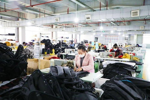 100 复工复产 大龙开发区全力冲刺一季度 开门红
