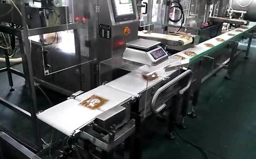 快餐速食调理包行业在线称重案例